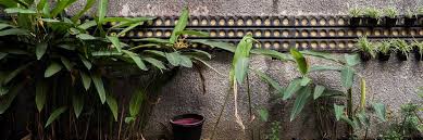 Structures not only protect the plants from the elements but also provide optimal growing conditions for pests. Natural Pest Control Methods Updated
