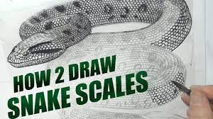 How 2 Draw Snake Scales - A Quick Guide - Youtube