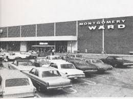 Image result for Dark Brown 1964 Montgomery Ward