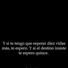 Y Si Tengo Que Esperar Por Ti Lo Hare Words More Than Words Cards Against Humanity