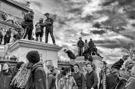 Image result for Grevea