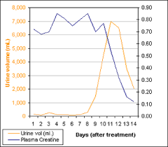 Diuresis Wikipedia