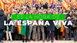 15 measures out of a total of 100 proposals on these topics are developed for both sections, indicating El Emocionante Video De Vox Para Arrancar La Campana Es La Hora De La Espana Viva Espana Vivi Emocionante