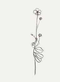 Pin By Anna Sofia On Tatto Flower Tattoo Designs Buttercup Tattoo Flower Tattoos
