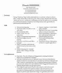 Experienced it team leader possesses excellent leadership skills and a highly analytical focus.sound communication skills and good ability to multitask allow for skilled delivery of it solutions.has a master's degree in information technology along with ten years of progressively responsible positions in it team leader roles. Cv For Team Leader Verat