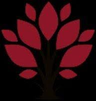 Turo outdoor care llc