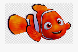 Fish Png Nemo Sunglass For Picsart Editing Transparent Cartoon Free Cliparts Silhouettes Netclipart All fish cliparts ,cartoons & silhouettes are png format and transparent background.