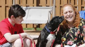 If you're wondering, does my dog have cancer? this might be a scary time for you. Canine Treats Made By Twinsburg Boy To Benefit Colon Cancer Awareness