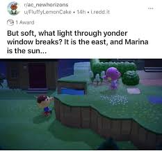 Animal crossing games may be all about creating your own private paradise (and decorating it with beautiful paintings), but everyone knows the real fun comes from interacting with all the colorful characters. Animal Crossing New Horizons Zucker And Marina Animal Crossing Funny Animal Crossing Memes Animal Crossing Villagers