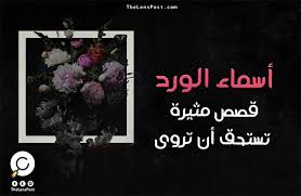 أسماء الورود قصص مثيرة تستحق أن ت روى العدسة