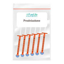 Image result for Prednisolone