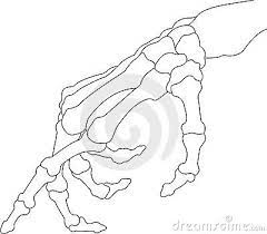 Skeleton Hand Stock Images Image 12287274 Skeleton Hands Drawing Hand Bone How To Draw Hands