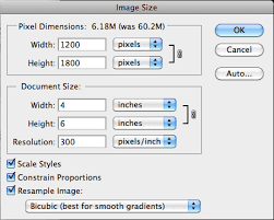 One cicero equals 4.512 mm or 0.177 modern inches. Pick The Right Resolution For Printing Photos Creativepro Network