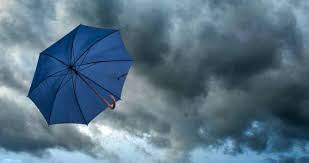 Insurance is the subject matter of the solicitation. Ageas Life Insurance Up 20 5 In Q3 Financial Reporter