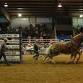Annual Glen Russelburg Draft Horse Championship Pull