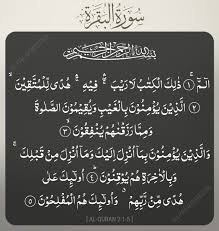 Termasuk kedalam golongan surat makkiyyah. Surah Al Baqarah 2 1 5 Quran Prayers Guidance Faith