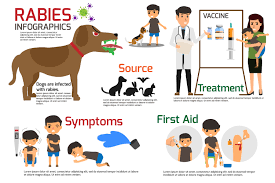 After the bite you do have time to look for an animal for 72 hours have the animal tested for rabies at the osdh public health lab or observe a dogcatferret for 10 days. Rabies The First Aid Show