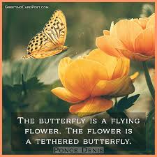 Don't chase the butterfly mend your garden and let the butterfly come self love love flow. 157 Butterfly Quotes Sayings And Instagram Captions To Enchant You
