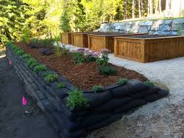 Spca salmon arm bc locations, hours, phone number, map and driving directions. Gleneden Landscape Conifers Premium Shuswap Landscapes