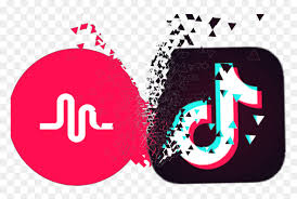 Maybe you would like to learn more about one of these? Musical Ly Tiktok Logo Transparent Tik Tok Hd Png Download Vhv