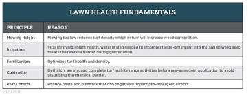 Crabgrass can be tough to prevent, but our crabgrass prevention guide can help you choose crabgrass preventer products and apply them correctly and at the right time. Lesco Crabgrass Breakthrough Prevention And Treatment Guide Lesco