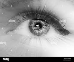 Image result for artistic divergence eyeballs