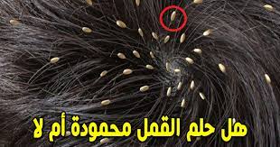 العطر في المنام خير ورؤيته دليل على التخلص من الهموم والمشكلات الكثيرة وربما حسن الخاتمة. ØªÙØ³ÙŠØ± Ø±Ø¤ÙŠØ© Ø§Ù„Ù‚Ù…Ù„ ÙÙŠ Ø§Ù„Ù…Ù†Ø§Ù… Ù‡Ù„ Ø®ÙŠØ±Ø§ Ø£Ù… Ø´Ø±