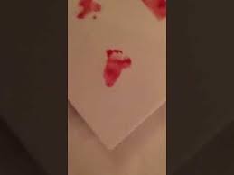 Image result for can Lapointe rev 12 Holy Grail