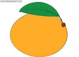 How To Draw A Mango Easy Drawing Art Finally remove the strokes of the pencil and color the mango. how to draw a mango easy drawing art