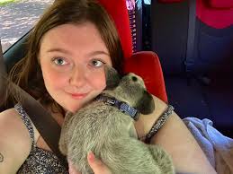 Heeler service animal training recommendations needed