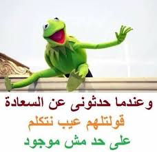 12 صورة نكت خلفيات رمزيات الضفدع كيرميت صورة 10 Fun Quotes Funny Funny Photo Memes Funny School Memes