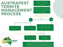 We specialize in pest control for your home and business and you will feel safe as we use low and. Termite Or White Ant Biology