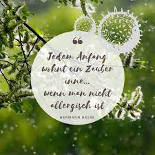 Pollenallergie Symptome Mit Atherischen Olen Lindern Vivere Aromapflege