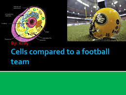 Check spelling or type a new query. Cells Compared To A Football Team