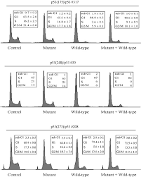 Deoxyribonucleic acid is a molecule composed of two polynucleotide chains that coil around each other to form a double helix carrying genetic instructions for the development, functioning. Mutant P53 Exerts A Dominant Negative Effect By Preventing Wild Type P53 From Binding To The Promoter Of Its Target Genes Oncogene