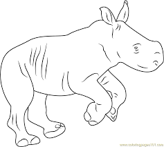 Youthful assistant, attendant parents may receive compensation when you click through. Rhino Baby Coloring Page For Kids Free Rhinoceros Printable Coloring Pages Online For Kids Coloringpages101 Com Coloring Pages For Kids