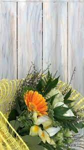 In primavera sono tante le piante che fioriscono, colorando le nostre città. 170 Idee Su Fiori E Piante Da Esterno Nel 2021 Piante Da Esterni Fiori Piante