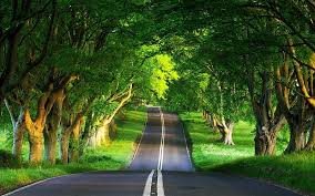 The great collection of beautiful nature wallpapers for desktop, laptop and mobiles. Beautiful Greece Nature Path Street Summer Hd Mobile Wallpaper Peakpx