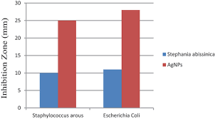 Image result for Stephania abyssinica