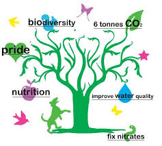 Environmental Social And Economic Benefits Of Trees Trees To Plant Social Cause Urban Tree