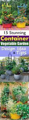22 Stunning Container Vegetable Garden Design Ideas Tips Container Gardening Vegetables Container Gardening Indoor Vegetable Gardening