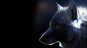 White wolf wallpaper 1920x1080 white, wolf. White Wolf Wolf Artwork Hd Wallpaper Wallpaper Flare