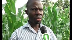 Adapt the Use of Poultry Manure and fertilizer to improve crop yield  farmers told 15