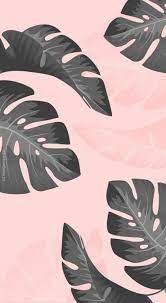 Trendy Wall Paper Tumblr Pink Black 55 Ideas Wallpaper Iphone Hitam Wallpaper Hitam Lucu Wallpaper Tropis Shannon negi, cpa | strategy on instagram: