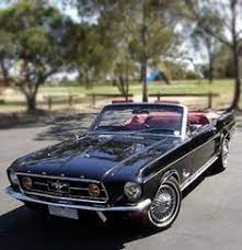 Cars - Mustang - Pony