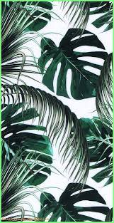 Wallpaper Backgrounds Aesthetic Green Leaves Aesthetic Wallpaper Aesthetic Wallpaper Iphon Leaves Wallpaper Iphone Aesthetic Iphone Wallpaper Leaf Wallpaper