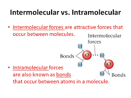 1) define intermolecular reaction 2) detine intramolecular. Intermolecular Forces Ppt Video Online Download