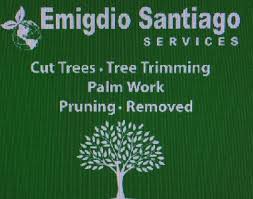 We did not find results for: Top 10 Best Tree Removal Services In Rosenberg Tx Angi Angie S List