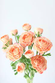 Pin On Wedding Flowers