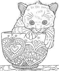 It enables them to explore their creativity more. Pin On Koshki